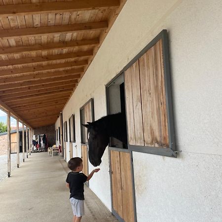 House Of Horses Shtepia E Kuajve Ξενοδοχείο Κορυτσά Εξωτερικό φωτογραφία