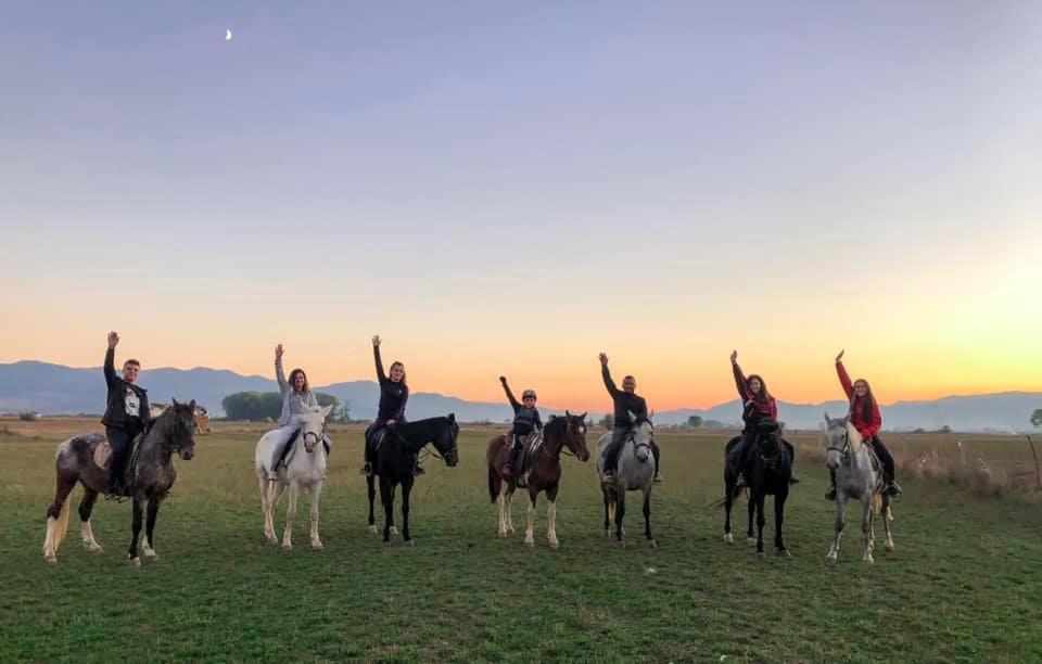 House Of Horses Shtepia E Kuajve Ξενοδοχείο Κορυτσά Εξωτερικό φωτογραφία