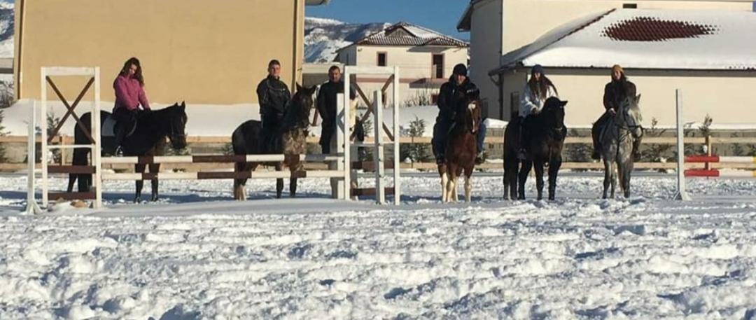 House Of Horses Shtepia E Kuajve Ξενοδοχείο Κορυτσά Εξωτερικό φωτογραφία