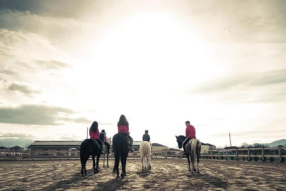 House Of Horses Shtepia E Kuajve Ξενοδοχείο Κορυτσά Εξωτερικό φωτογραφία