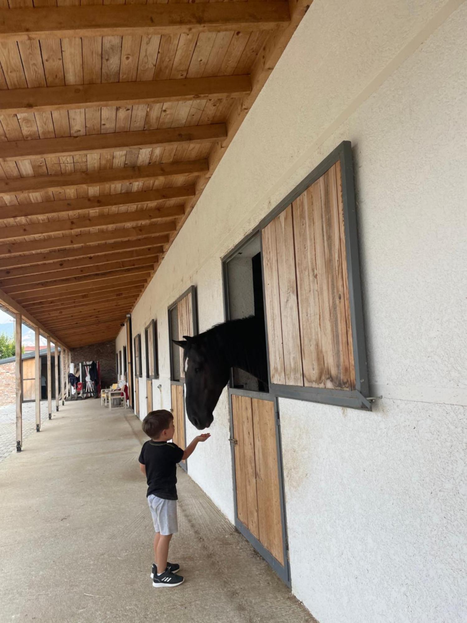 House Of Horses Shtepia E Kuajve Ξενοδοχείο Κορυτσά Εξωτερικό φωτογραφία